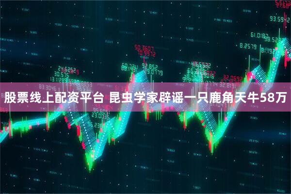 股票线上配资平台 昆虫学家辟谣一只鹿角天牛58万